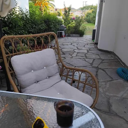 Andromeda Shell House