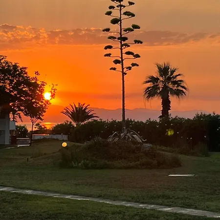 Andromeda Shell House