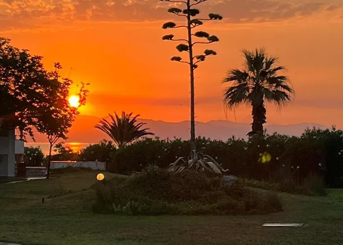 Andromeda Shell House